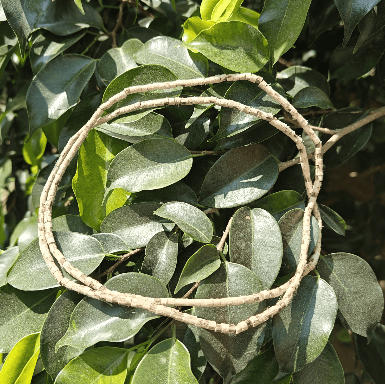 Tulsi Kanthi Mala (Patli)